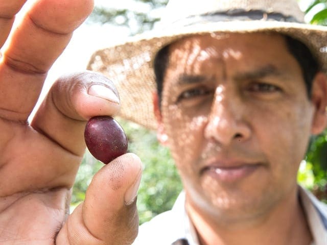 A man holding a small piece of fruit.