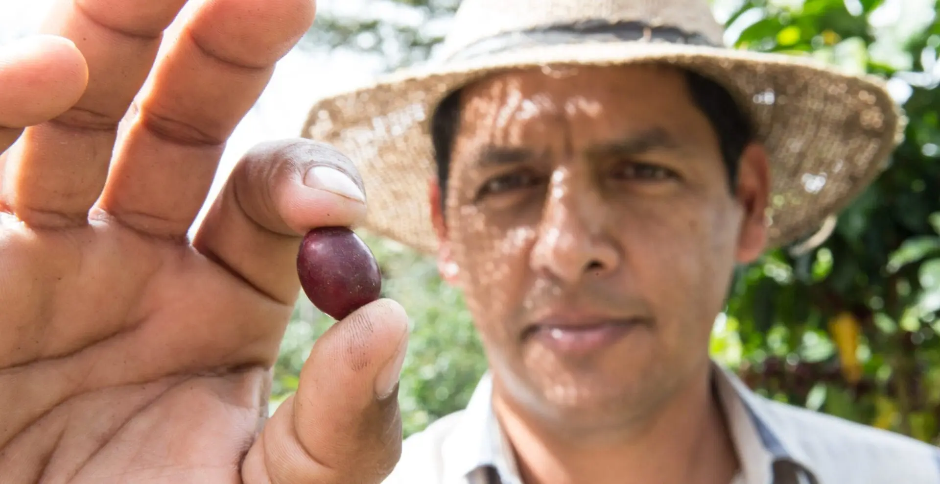 A man holding a small purple fruit in his hand.